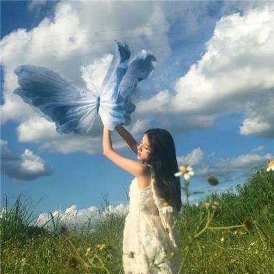 达科塔的夏天